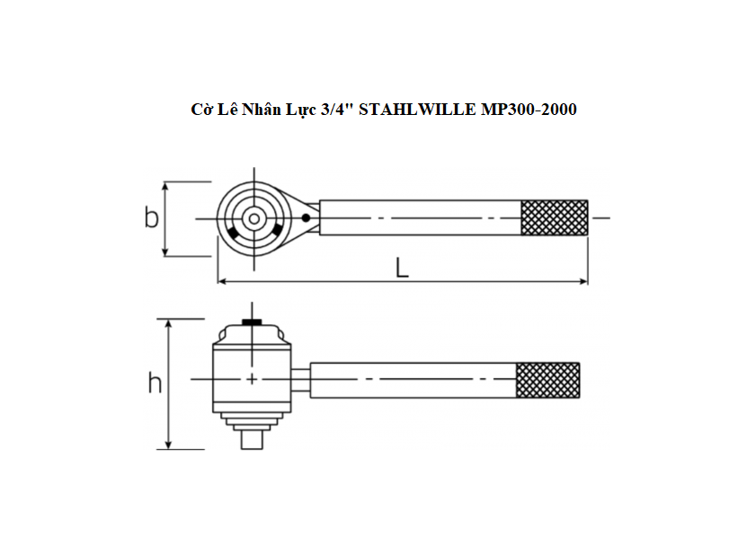 TS Co Le Nhan Luc 3.4 STAHLWILLE MP300 2000