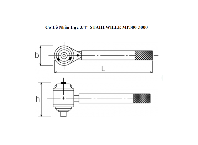 TS Co Le Nhan Luc 3.4 STAHLWILLE MP300 3000