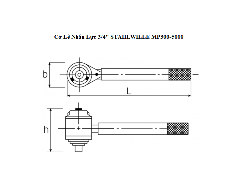 TS Co Le Nhan Luc 3.4 STAHLWILLE MP300 5000