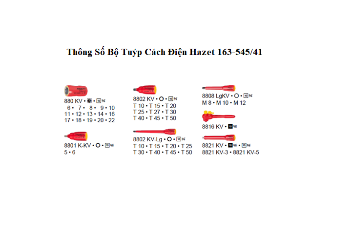 ts Bo Tuyp Cach Dien Hazet 163 545.41